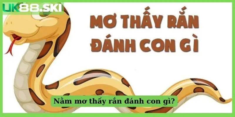 Nằm mơ thấy rắn đánh con gì?
