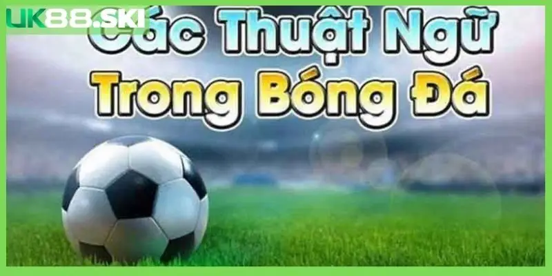 Tổng hợp một số thuật ngữ cá độ bóng đá chuẩn cho tân thủ