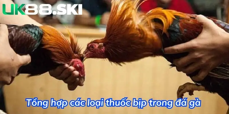 Tổng hợp các loại thuốc bịp trong đá gà