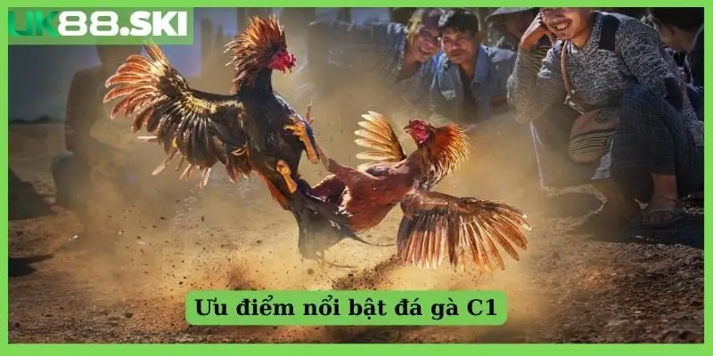 Ưu điểm nổi bật của đá gà C1