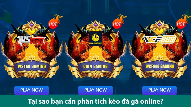 Bí quyết phân tích kèo đá gà online chơi đâu thắng đó